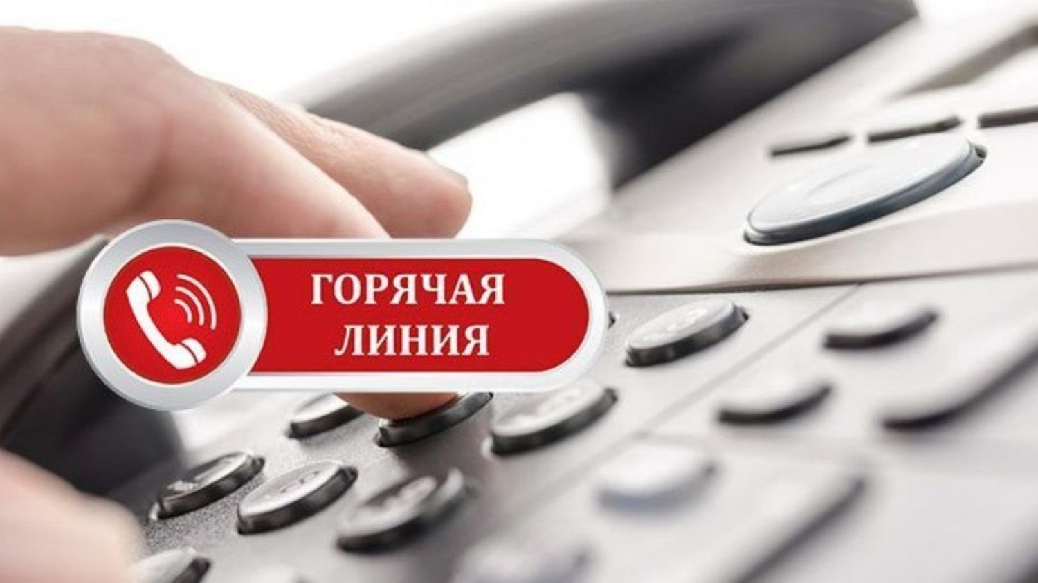 Подробнее о статье Горячая телефонная линия